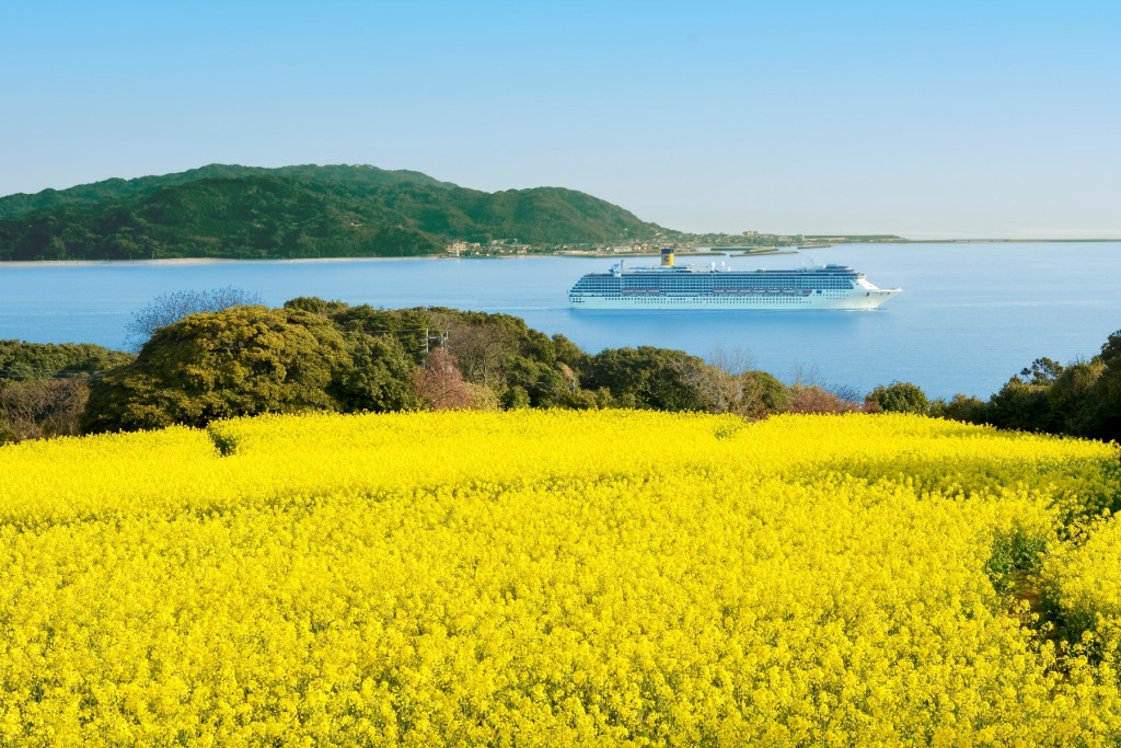 能古島 , 海島公園 , 油菜花 , 黃金花海 , 能古島自駕 , 能古島船期