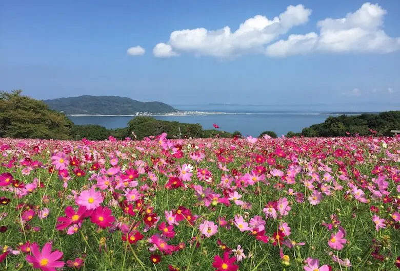 能古島 - Travel Mama 小包團