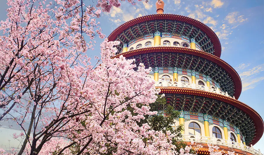 台灣櫻花 | 台灣係咁玩 - Travel Mama 小包團