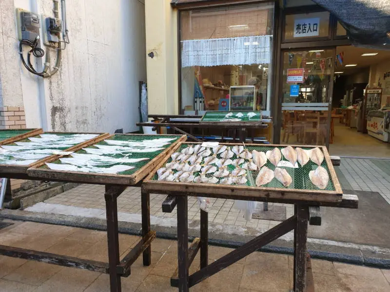 九州西海岸 , 九州自駕遊 , 九州自由行 , 九州自駕路線 , 全九州自駕遊