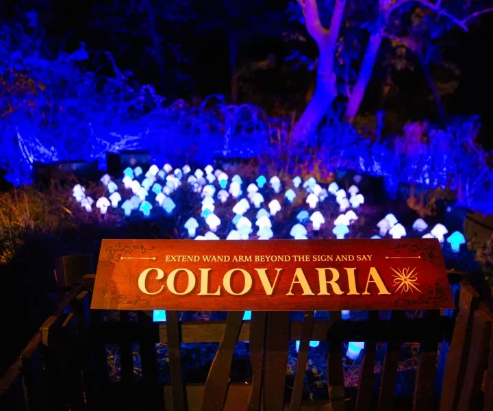 觀瀾湖哈利波特