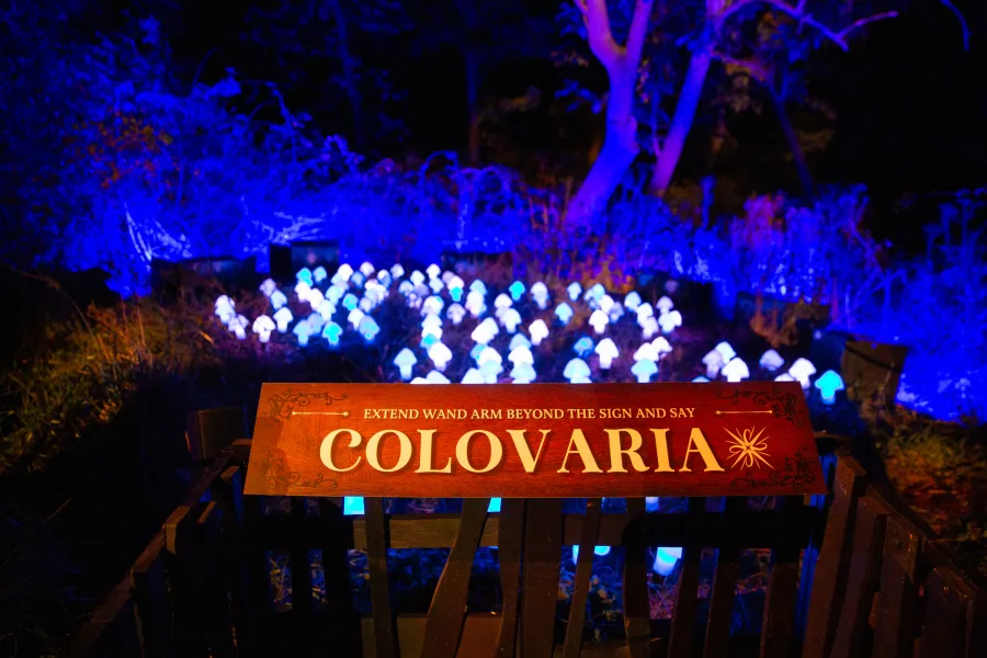 觀瀾湖哈利波特