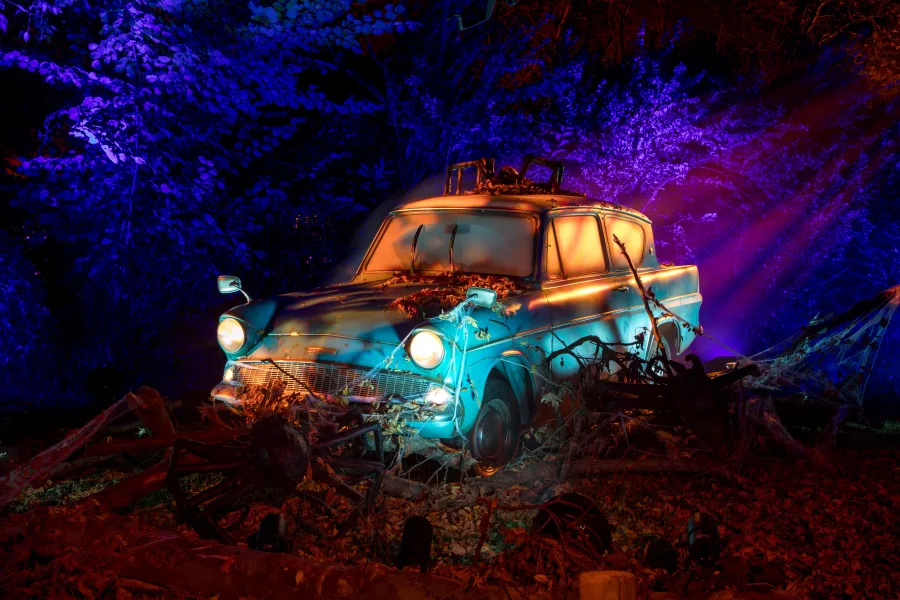 Forbidden Forest Experience