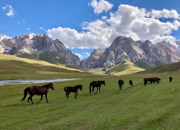 吉爾吉斯高山同草原風景，吉爾吉斯小包團