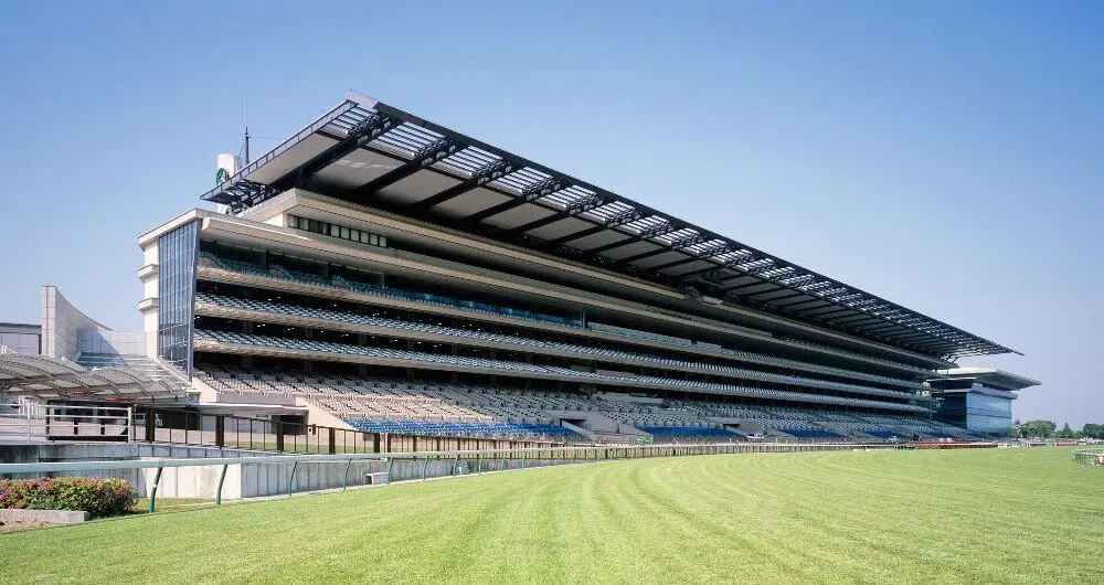 日本賽馬旅遊攻略 – 東京競馬場 - Travel Mama 小包團