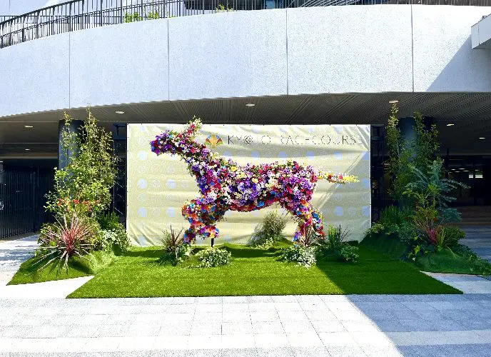 日本賽馬旅遊攻略 – 京都競馬場 - Travel Mama 小包團