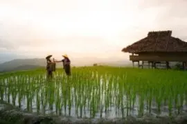 河內 x 下龍灣 x 薩帕 6日5夜 @4人 越南小包團 - Travel Mama 小包團