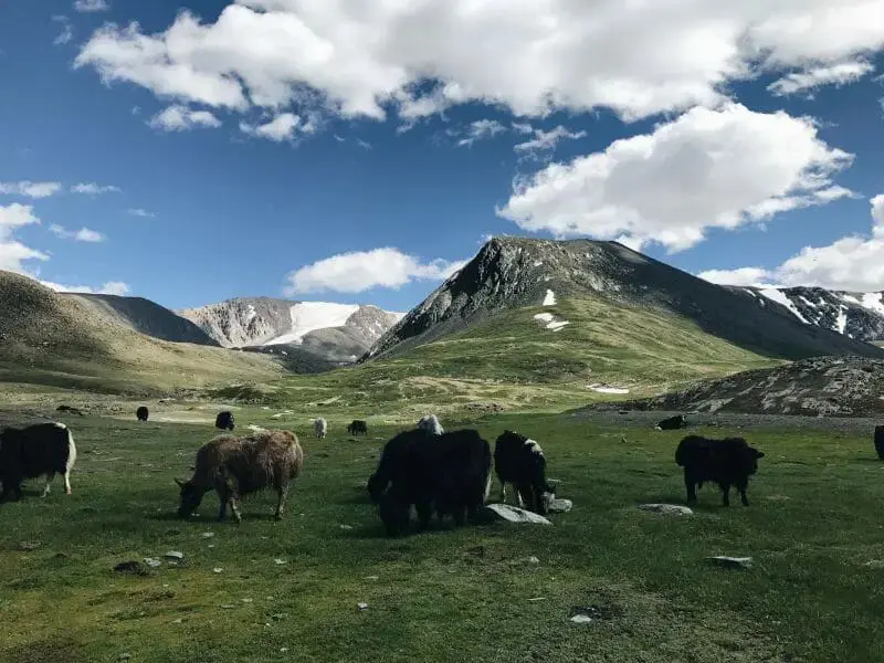 成吉思汗巨像冬日景觀