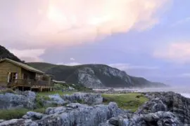 南非小包團 , 開普敦小包團 , 南非旅遊團 , 開普敦旅行團 , 克魯格國家公園 , 非洲旅遊團 , 斯泰倫博斯 , Cango Caves , Addo Elephant National Park , Tsitsikamma National Park , South Africa private tour