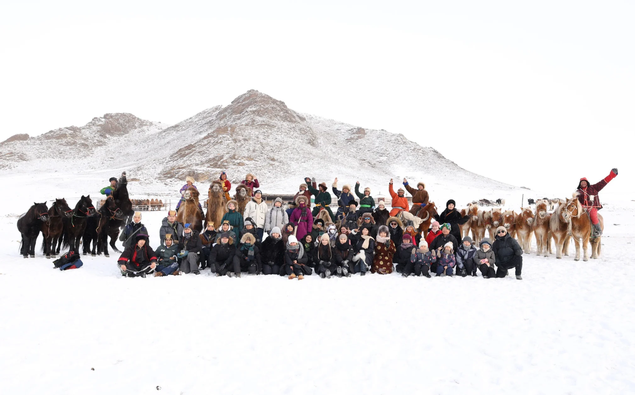 Thousand Camel Festival