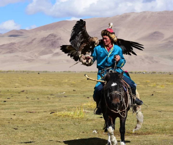 蒙古西部哈薩克獵鷹人與金鷹 / A Kazakh eagle hunter in western Mongolia