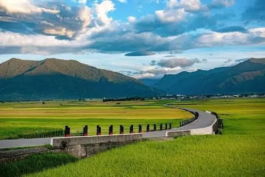 台東伯朗大道的田野與山景